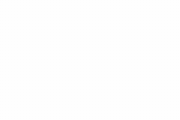 Gif showing Gus, AI assistant, providing business owner with personalized insights.