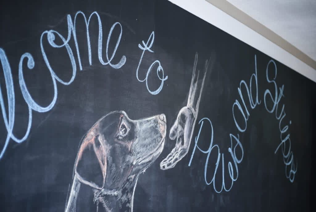 Paws and Stripes welcome wall