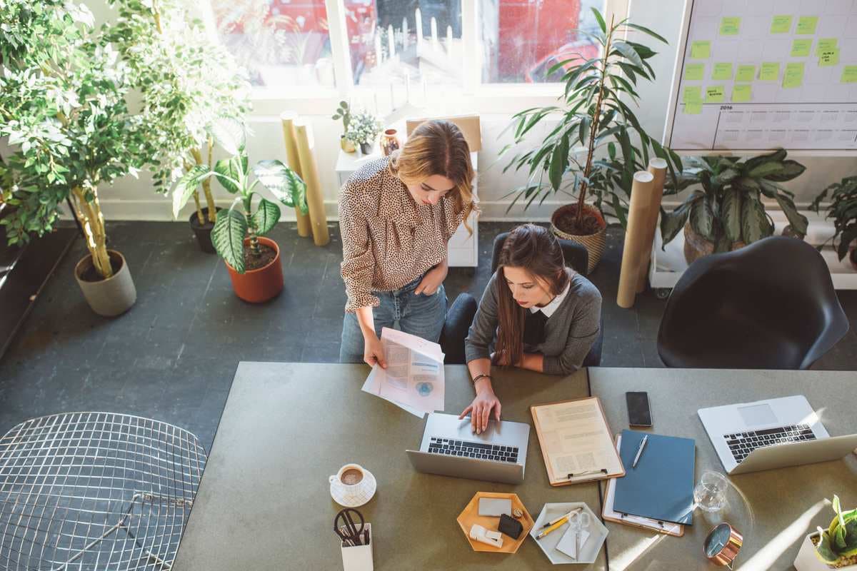 Two pretty young businesswoman working together at the office.