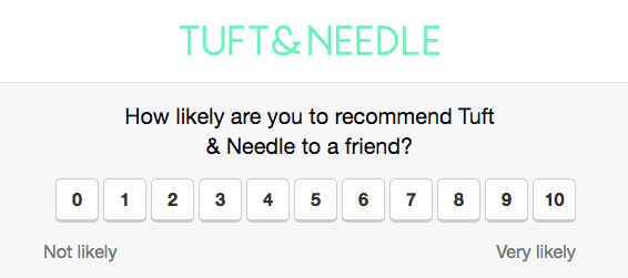 Tuft & Needle NPS email