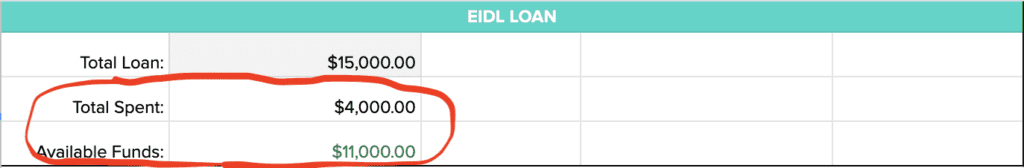 EIDL Loan Tracker - 3